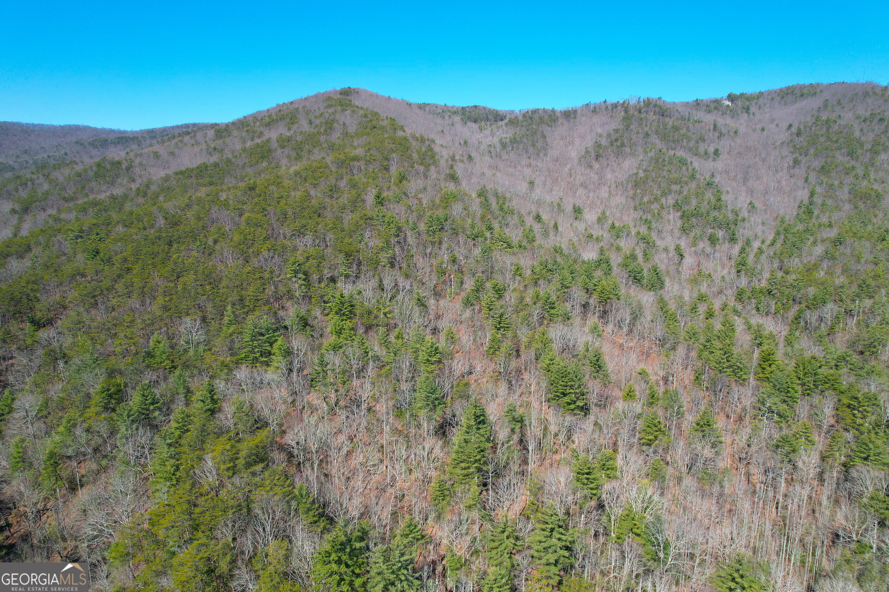 0 Peeples Lake Road Chatsworth, GA 30705 - Photo 27 of 37 a view of a forest with mountains in the background