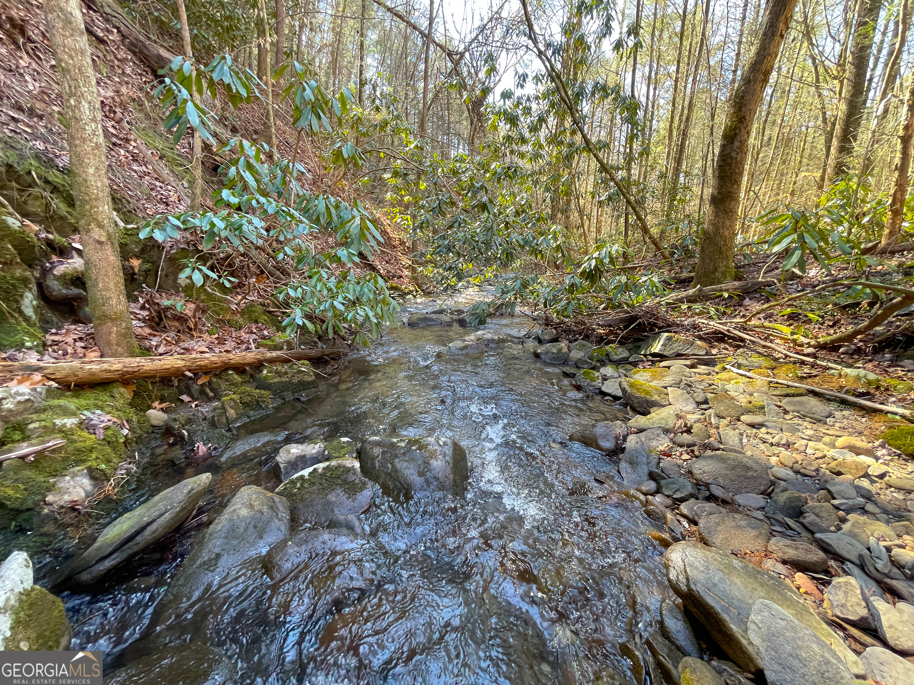 0 Peeples Lake Road Chatsworth, GA 30705 - Photo 28 of 37 a view of a yard with plants and trees