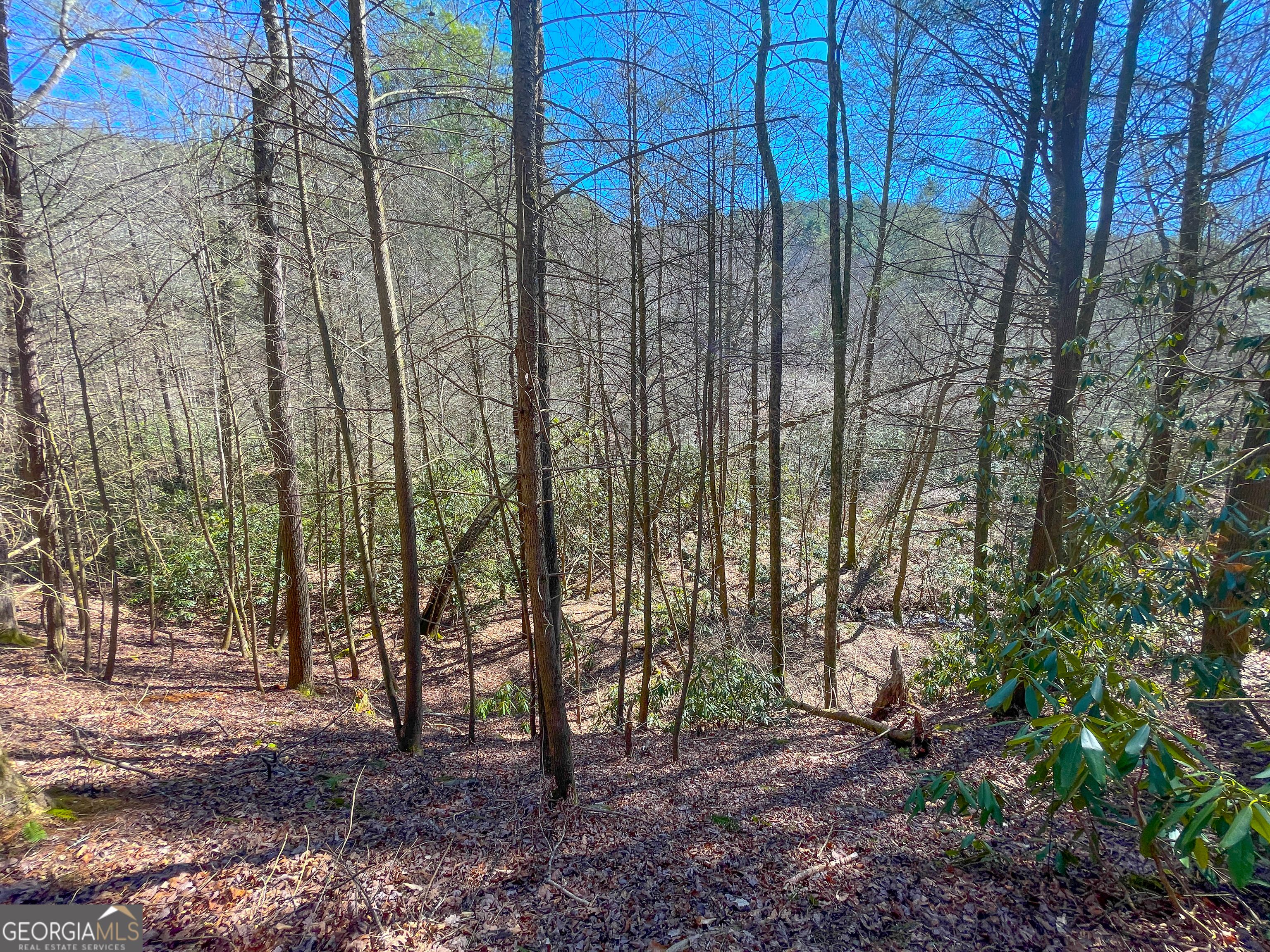 0 Peeples Lake Road Chatsworth, GA 30705 - Photo 30 of 37 a view of a backyard with trees
