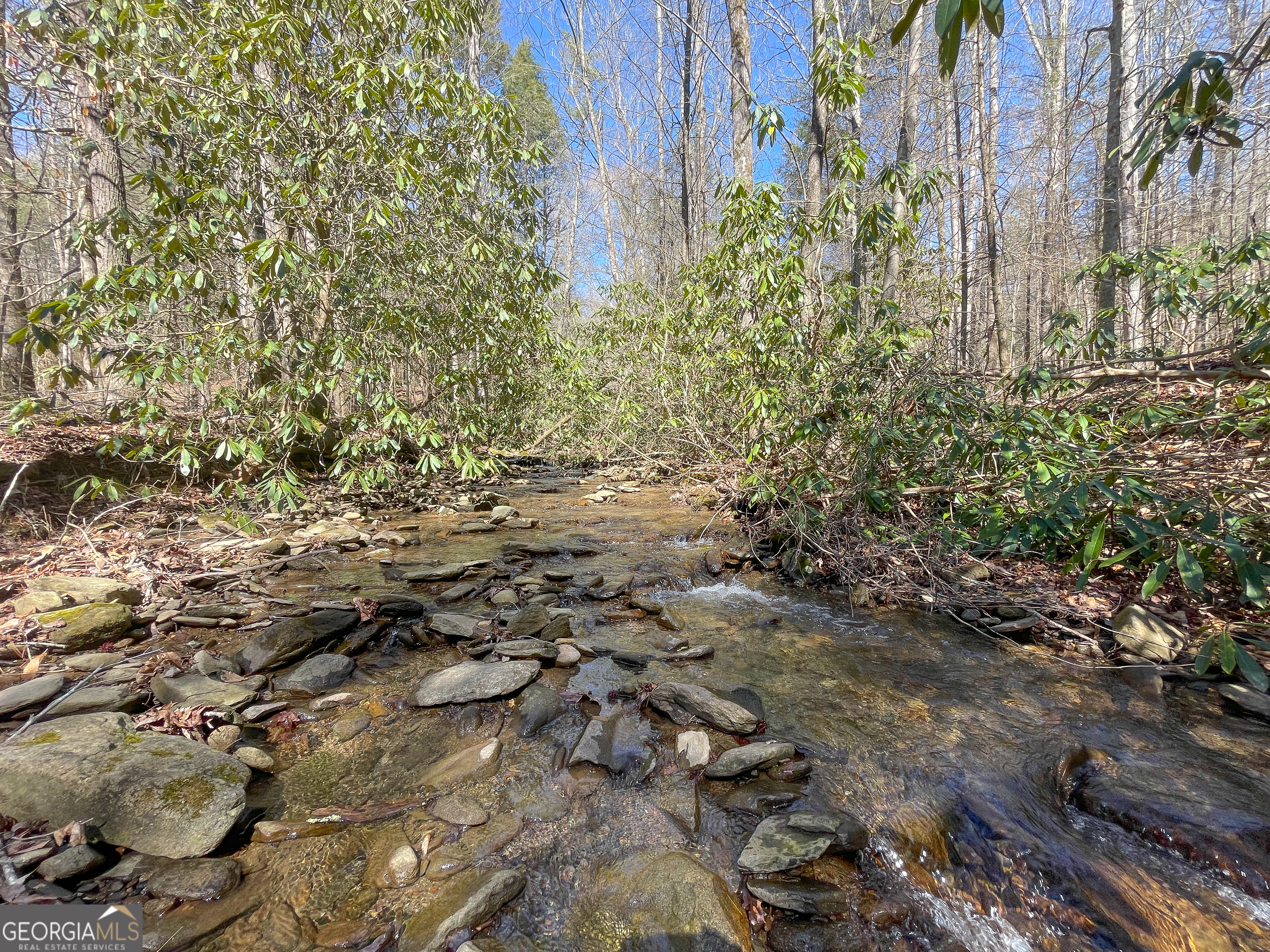 0 Peeples Lake Road Chatsworth, GA 30705 - Photo 3 of 37 a view of outdoor space and a yard