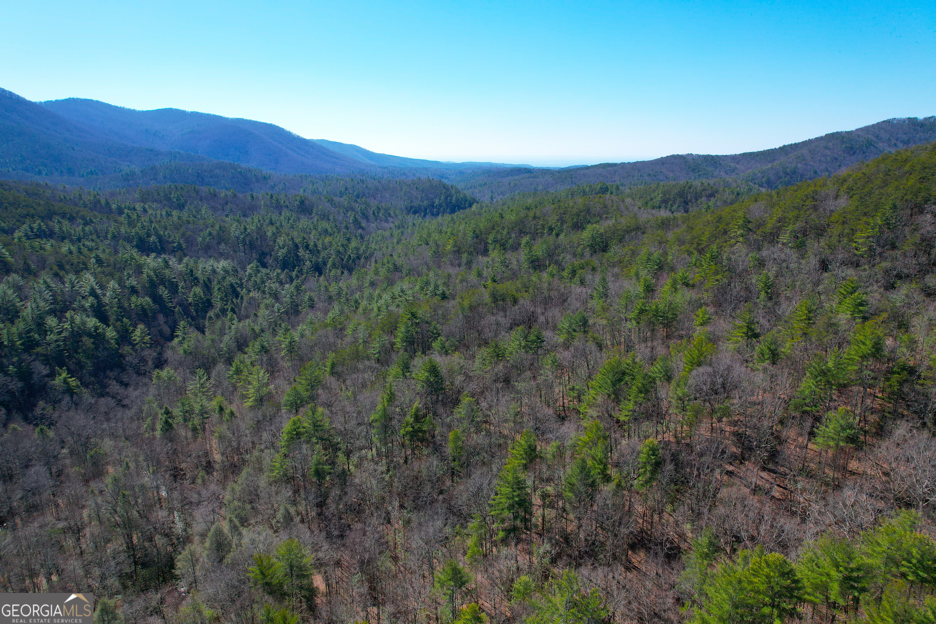 0 Peeples Lake Road Chatsworth, GA 30705 - Photo 31 of 37 a view of a lush green hillside and a mountain
