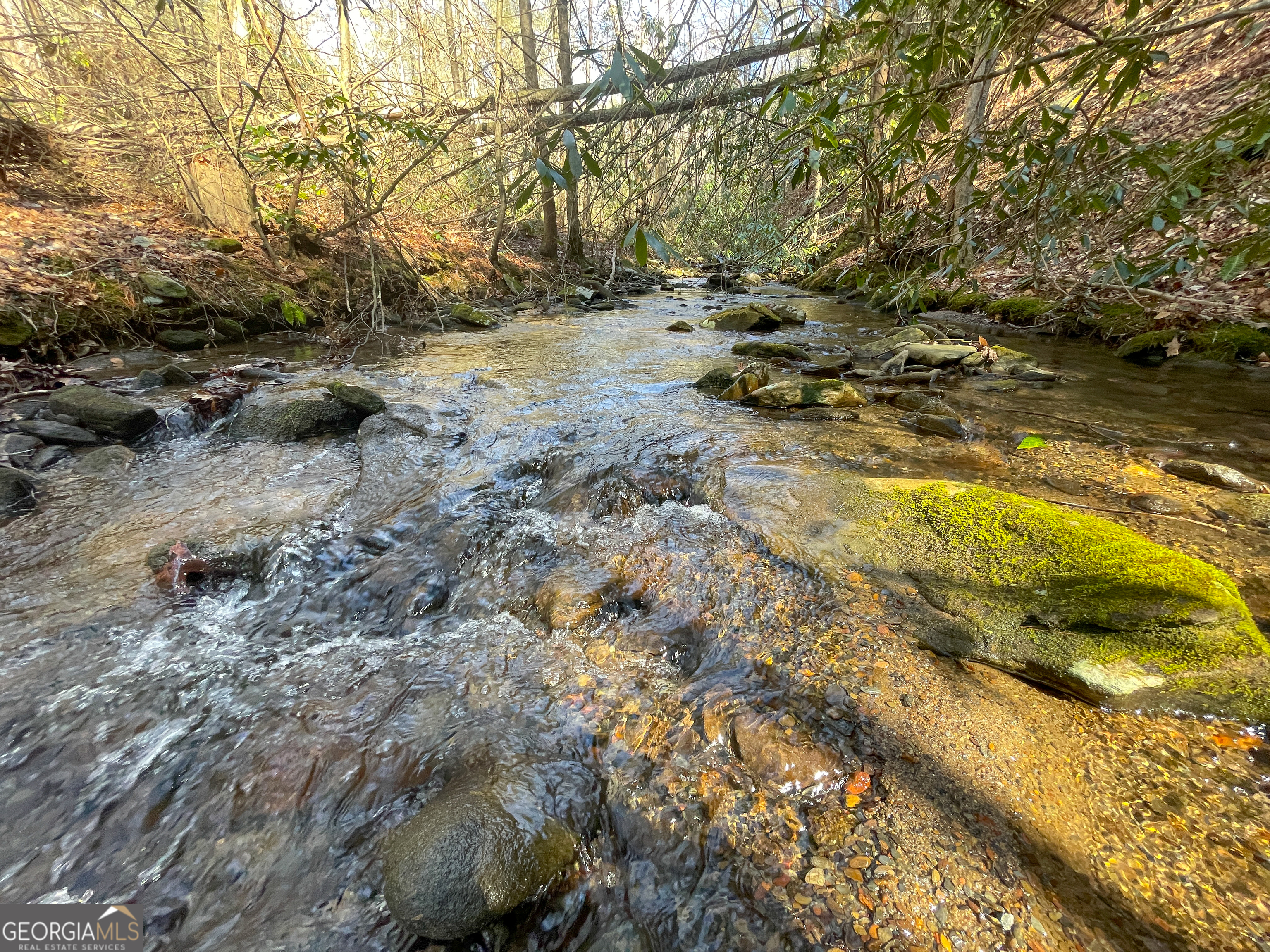 0 Peeples Lake Road Chatsworth, GA 30705 - Photo 32 of 37 a view of yard covered with snow