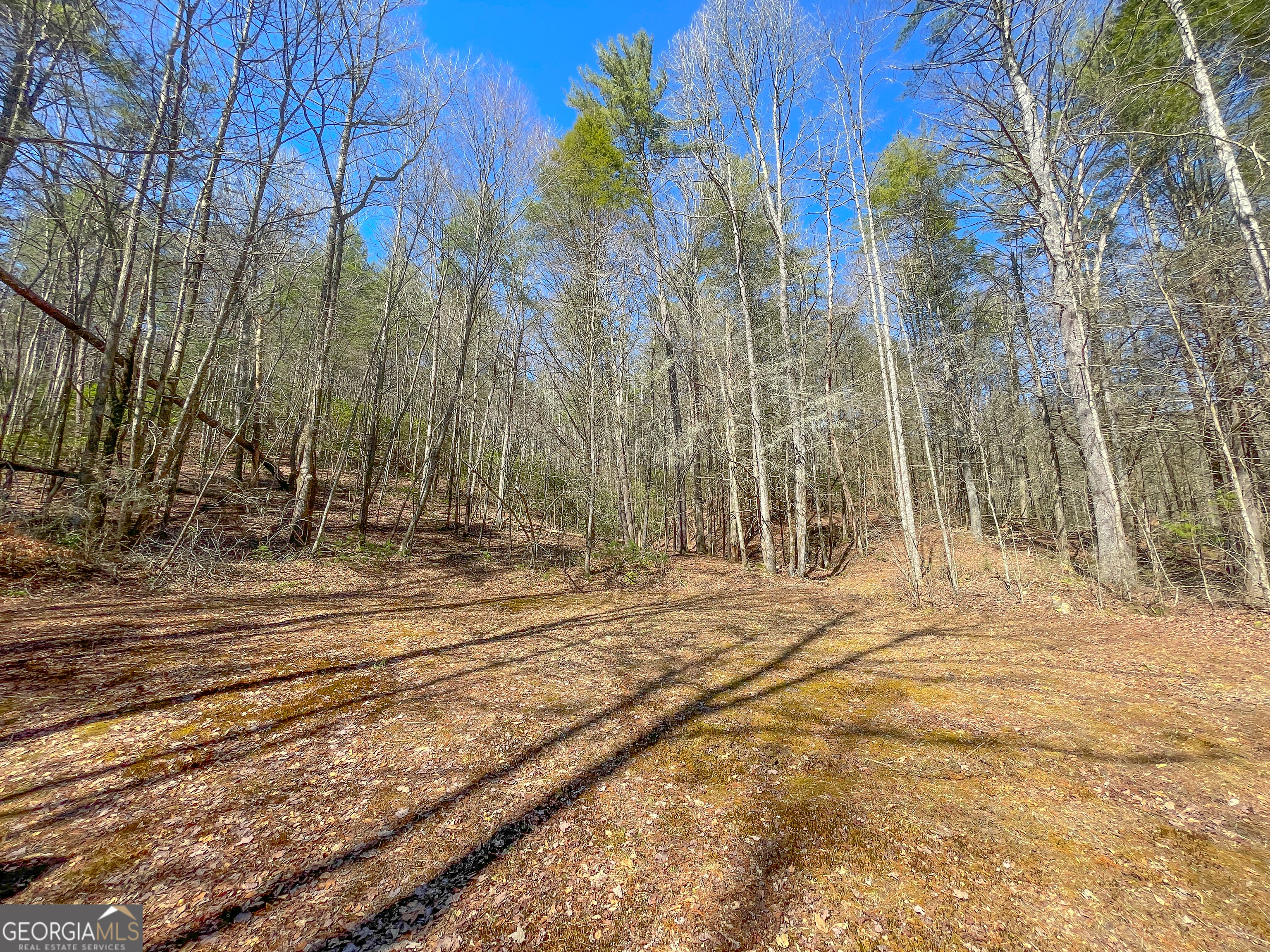 0 Peeples Lake Road Chatsworth, GA 30705 - Photo 34 of 37 a view of empty space with wooden fence