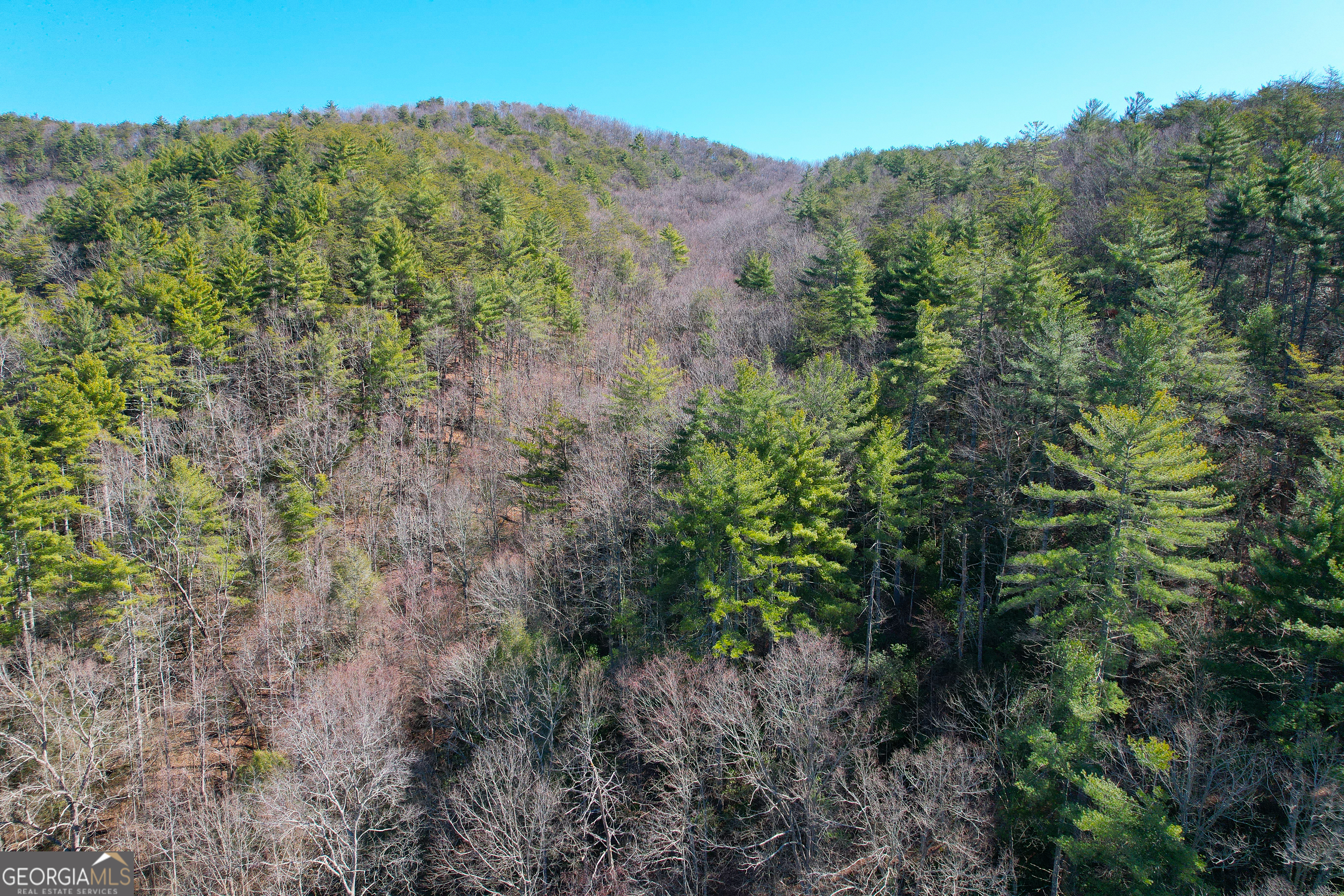0 Peeples Lake Road Chatsworth, GA 30705 - Photo 6 of 37 a view of a lush green forest with trees in the background