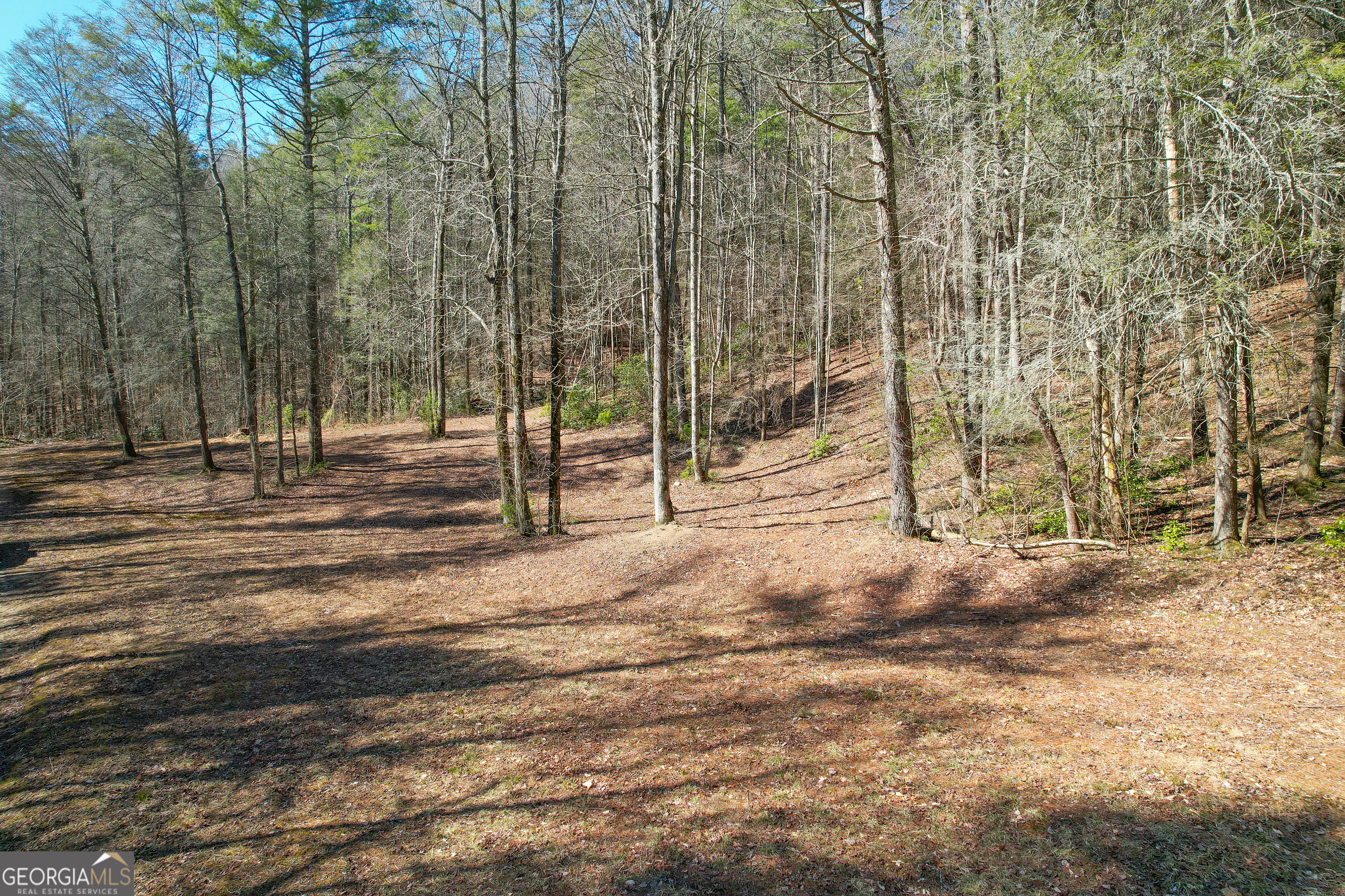0 Peeples Lake Road Chatsworth, GA 30705 - Photo 8 of 37 a view of road and trees