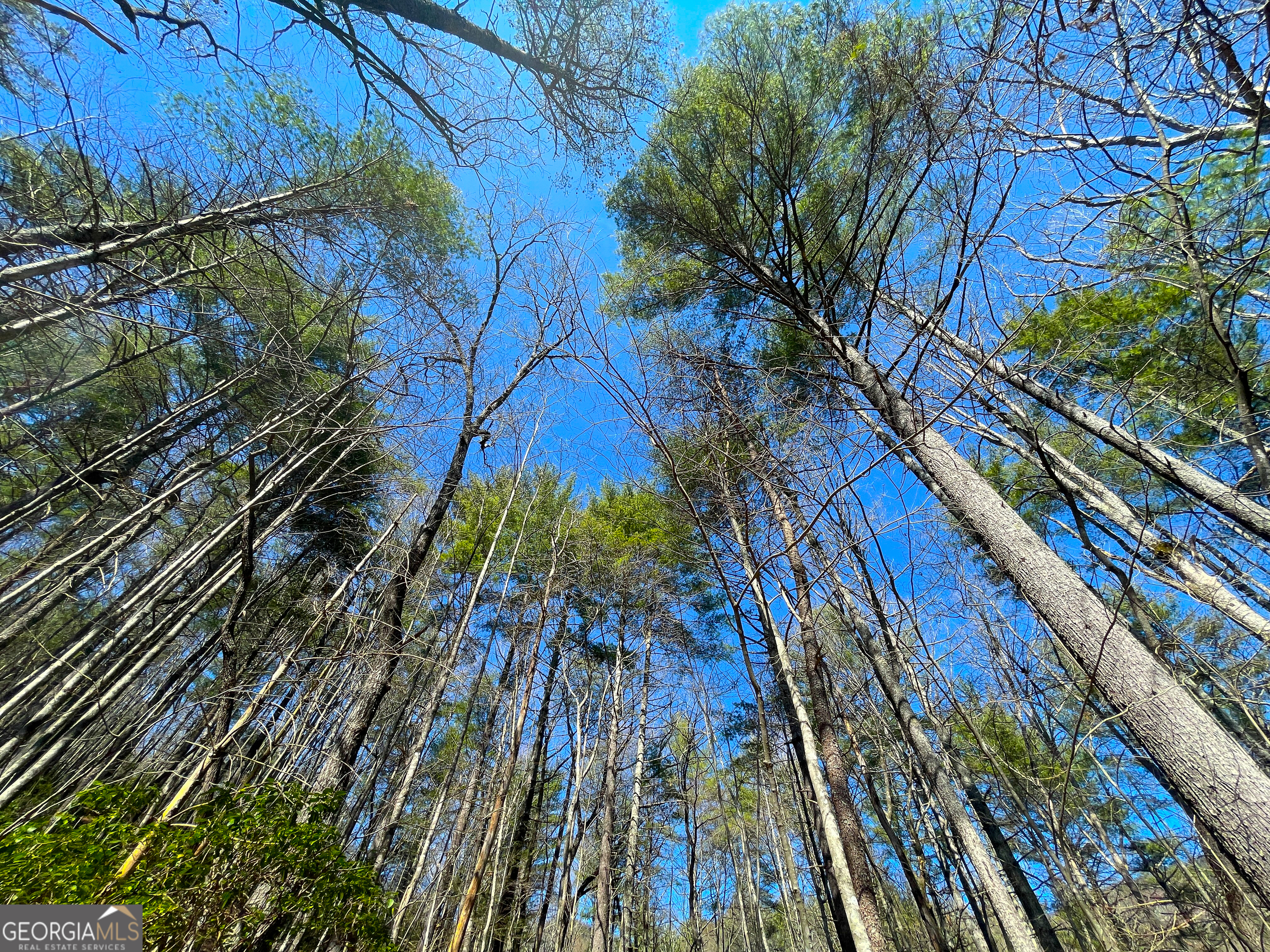 0 Peeples Lake Road Chatsworth, GA 30705 - Photo 9 of 37 a view of outdoor space and deck