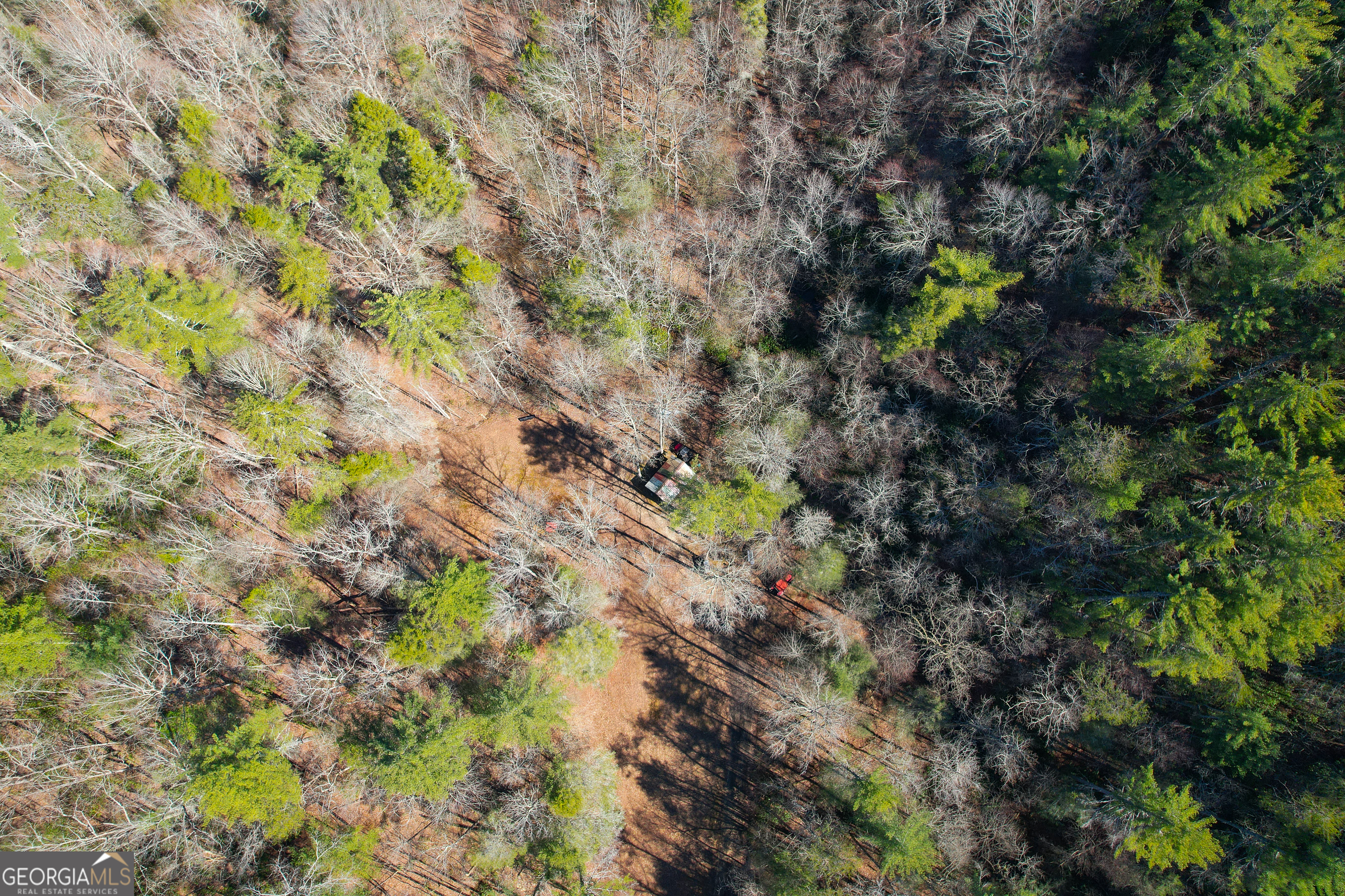 0 Peeples Lake Road Chatsworth, GA 30705 - Photo 10 of 37 a backyard of a house with lots of plants and trees