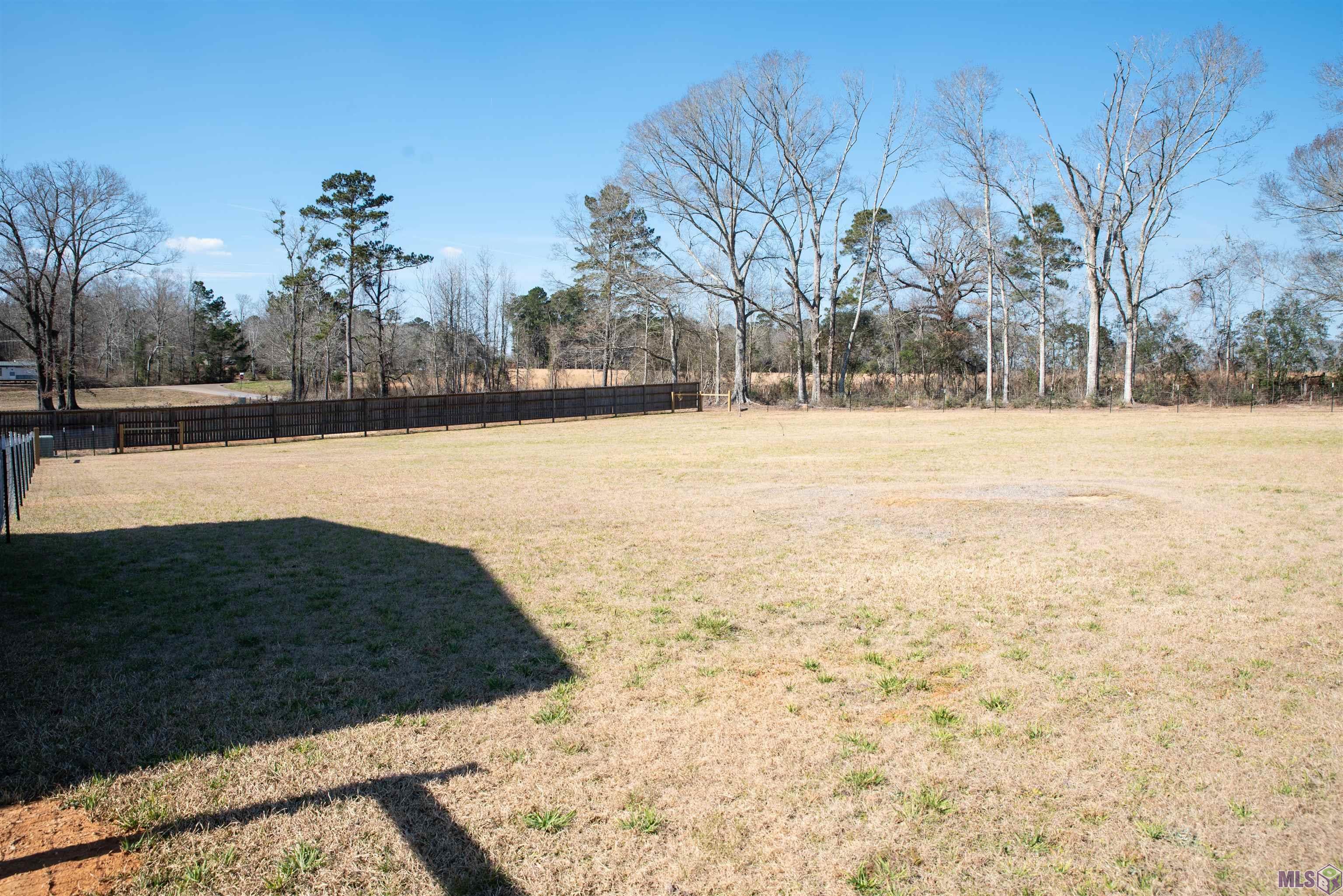 5333 Idlewild Road Clinton, LA 70722 - Photo 3 of 11 Side yard