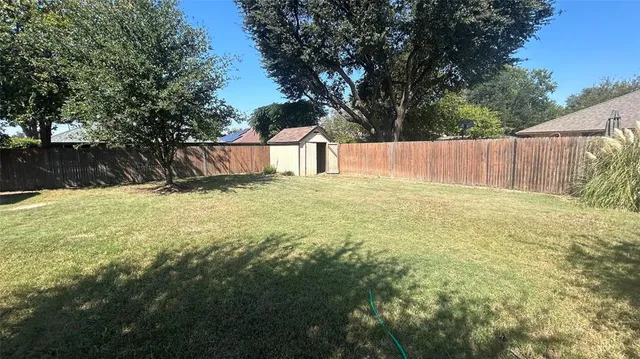 a view of under a large tree