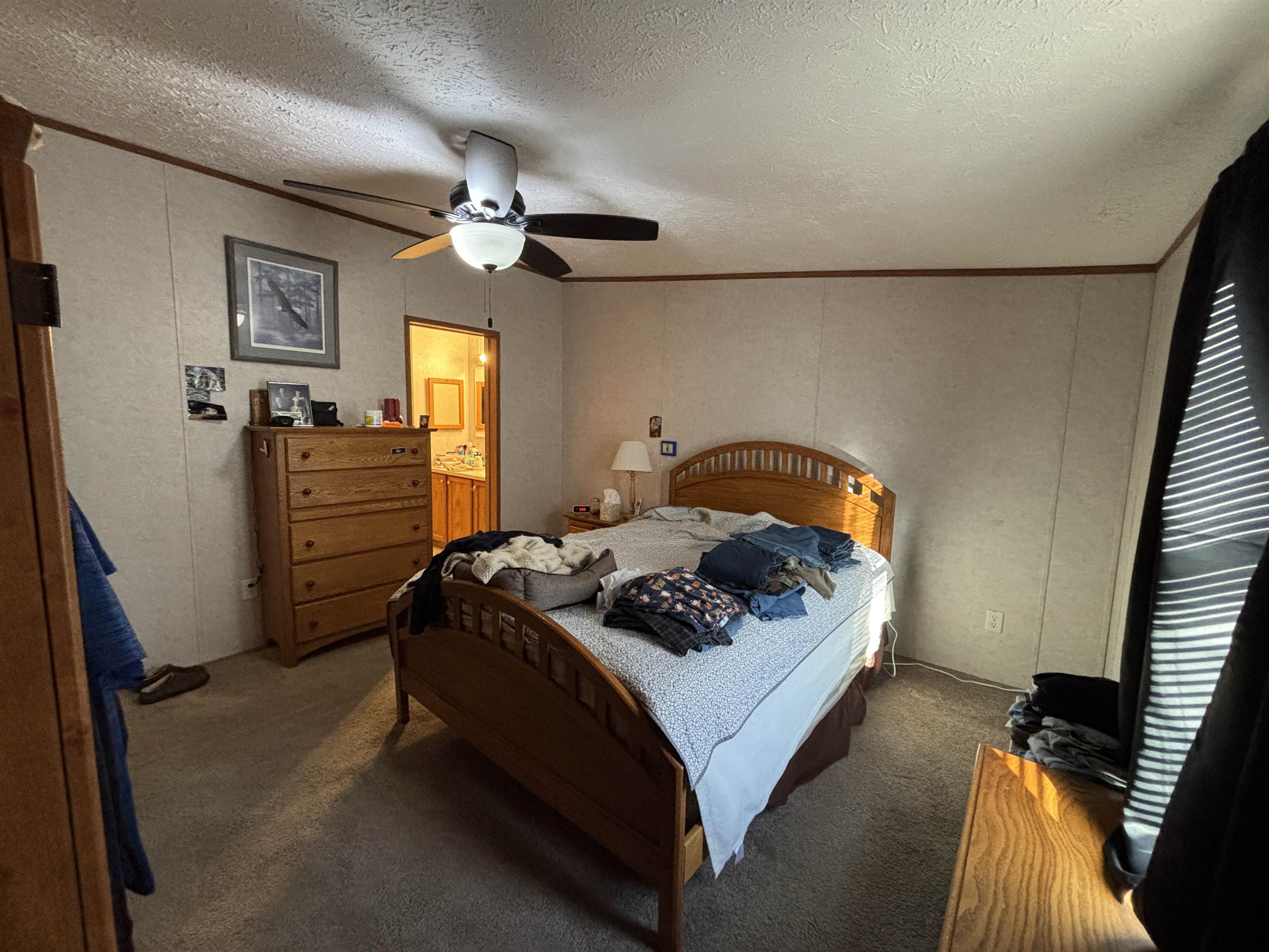 2171 Oak Ridge Drive Farwell, MI 48622 - Photo 11 of 33