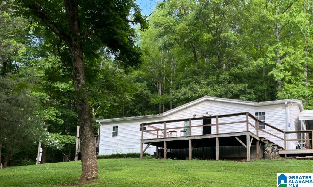 203 Young Road Remlap, AL 35133 - Photo 3 of 31