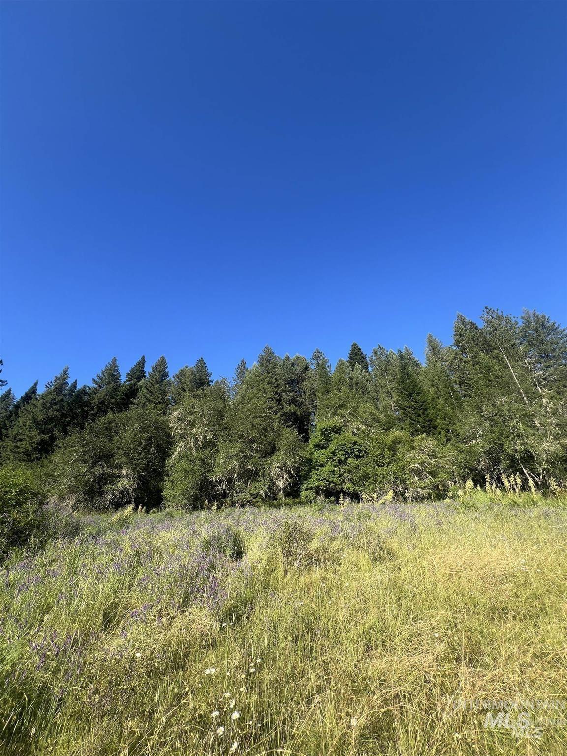 Nka Clearcreek Road Kooskia, ID 83539 - Photo 12 of 25 View of tree filled area