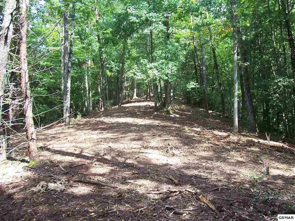 550 Pearl Valley Road Sevierville, TN 37876 - Photo 12 of 20 Gallery Image 12