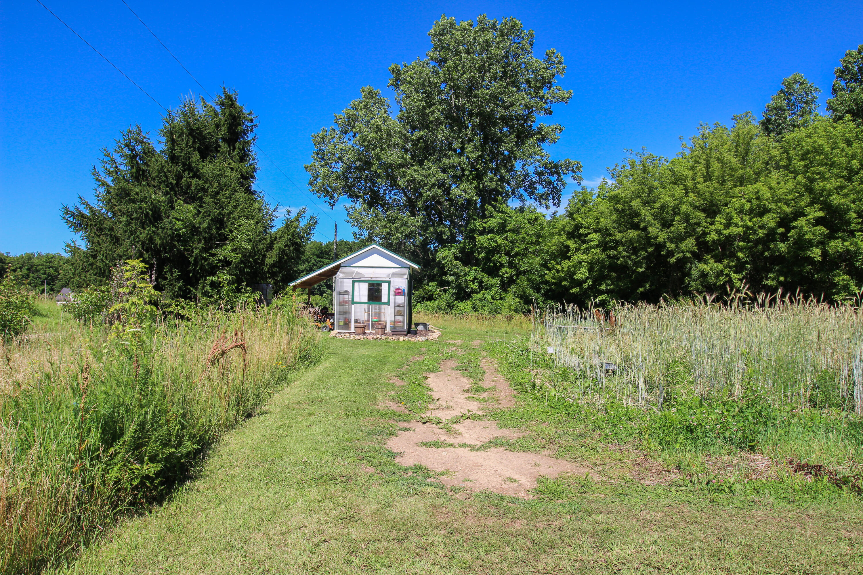 60061 Shafer Brothers Road Three Rivers, MI 49093 - Photo 53 of 54 Shafer Bros-53