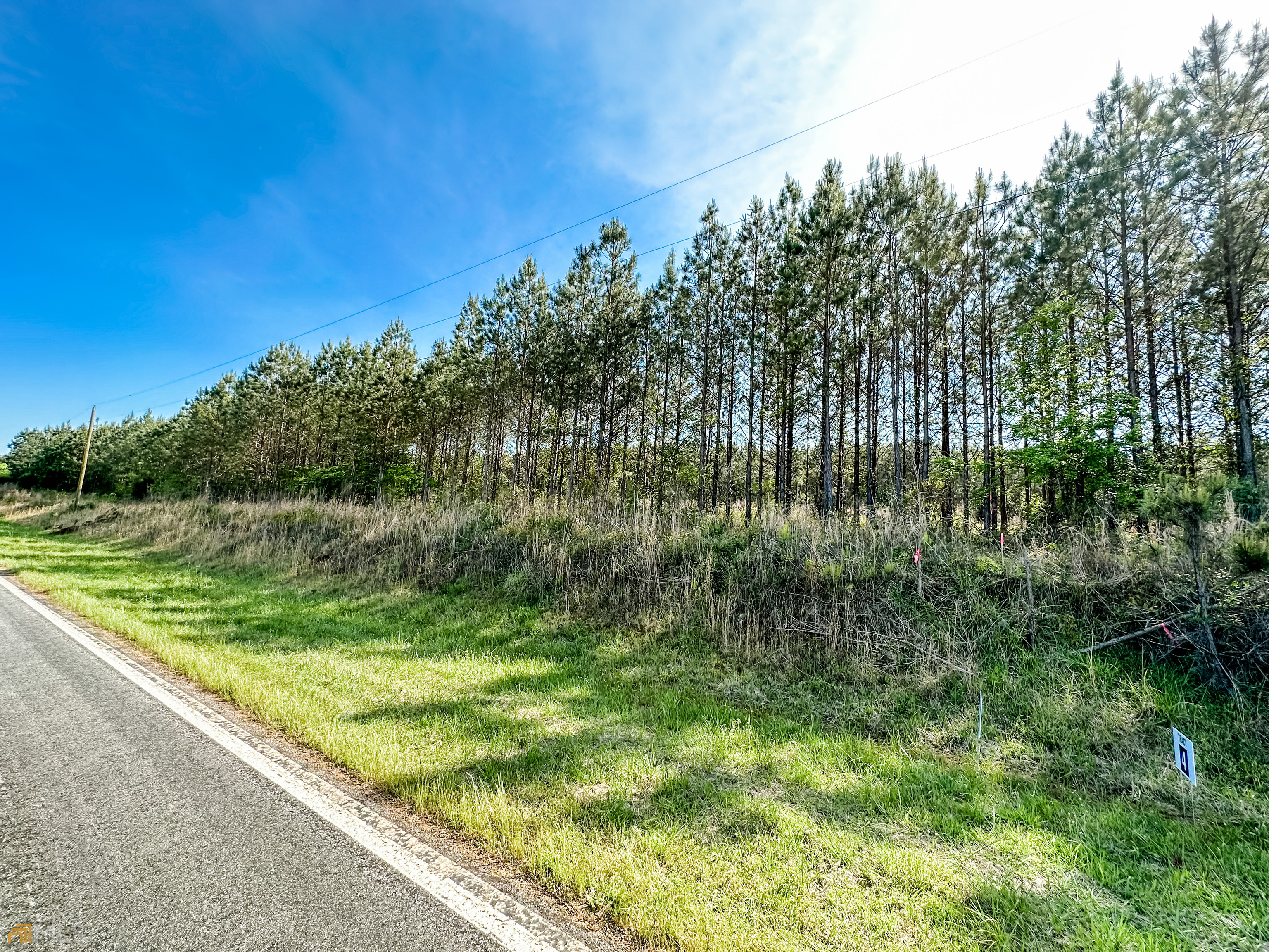 Tract 3 Goolsby Road, Unit 12 ACRES Monticello, GA 31064 - Photo 1 of 1 Gallery Image 1