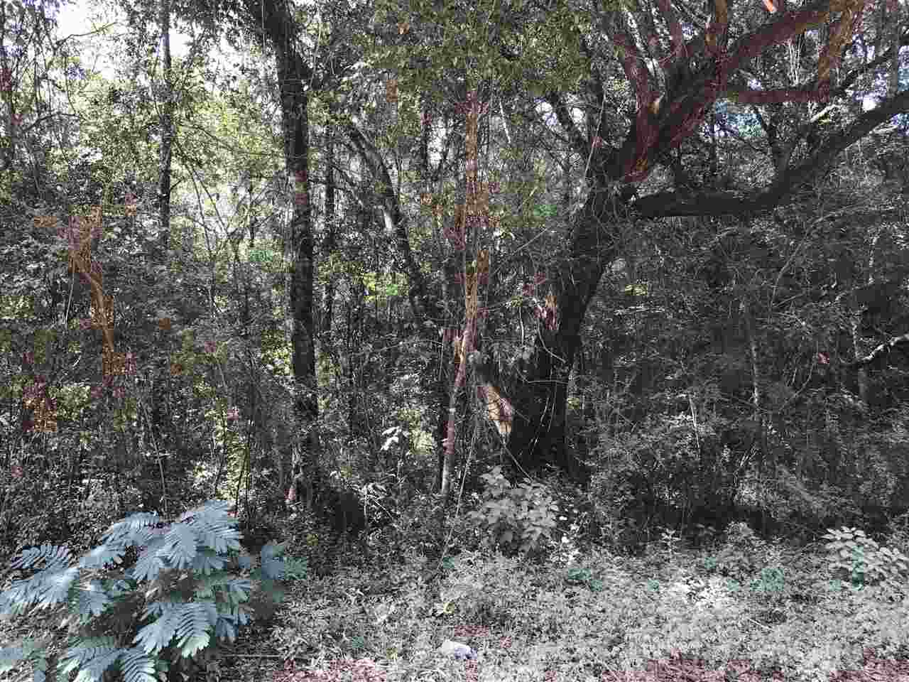 Brantley Lane Foley, AL 36535 - Photo 3 of 3