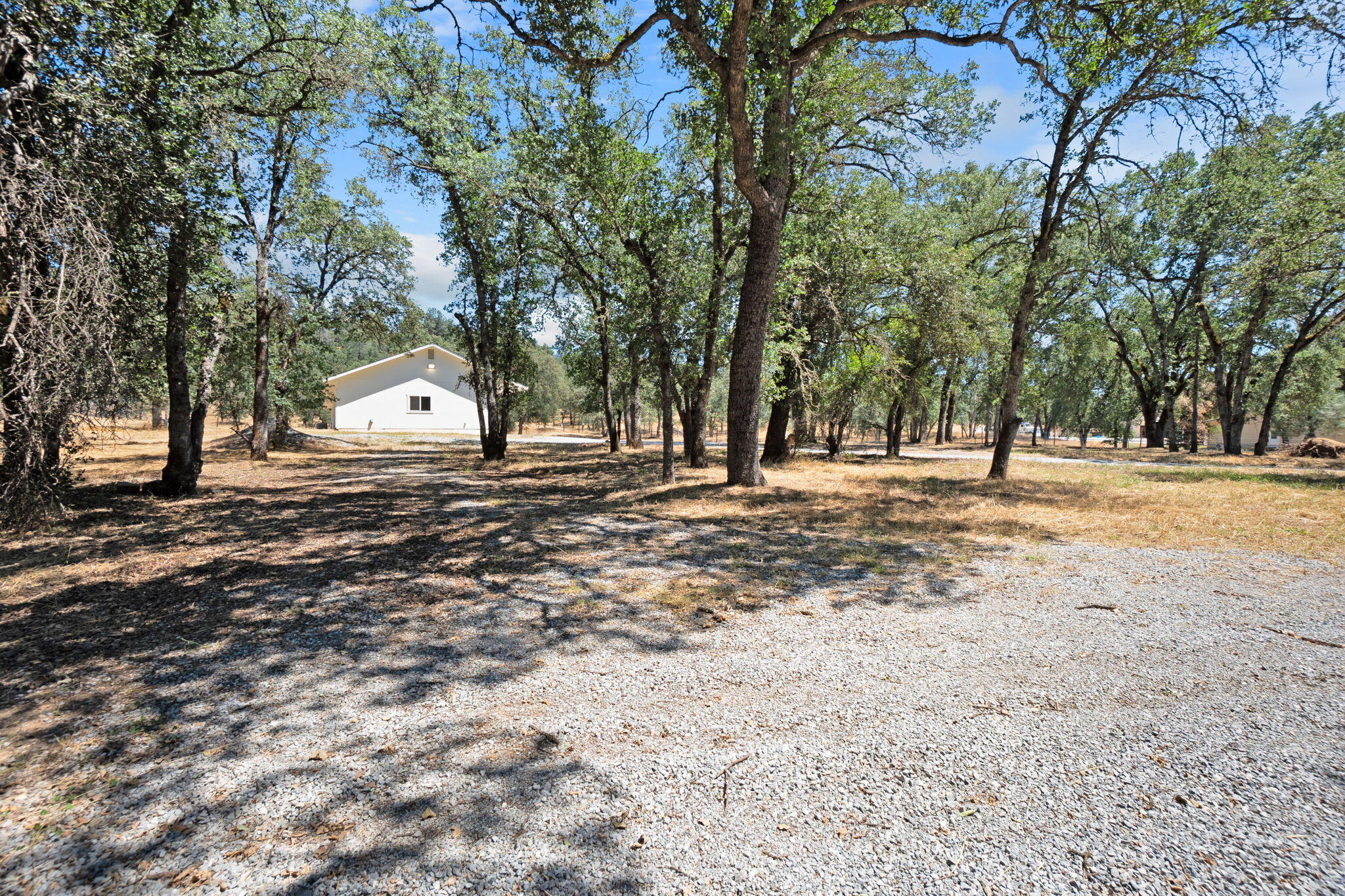 10753 French Creek Road Palo Cedro, CA 96073 - Photo 52 of 60 Driveway