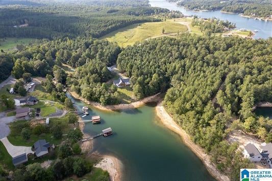 Lot A Camp Jimmy Goodwin Road Jasper, AL 35503 - Photo 6 of 13 Gallery Image 6