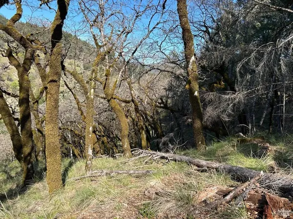 $299,000 | 2150-2250 Baywood Way, Willits, CA 95490