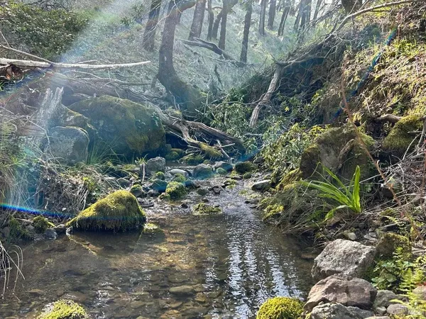 $299,000 | 2150-2250 Baywood Way, Willits, CA 95490