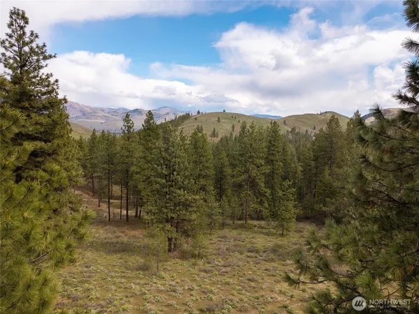 $180,000 | 61 Whitebark Lane, Winthrop, WA 98862