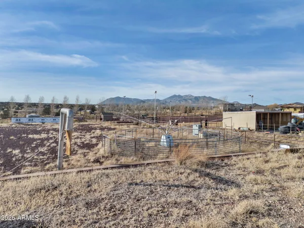 a view of a dry yard with large trees