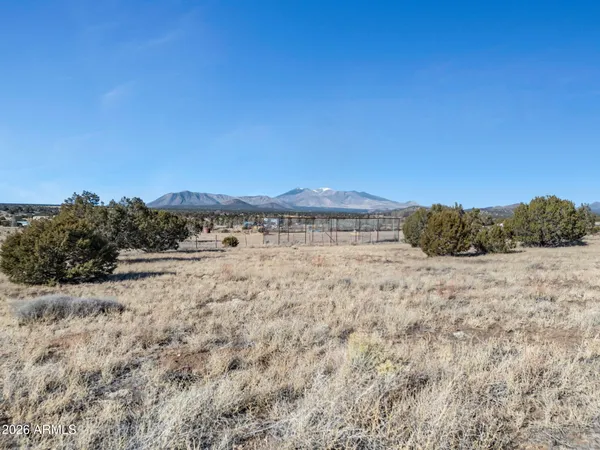 a view of a dry yard with trees in the background