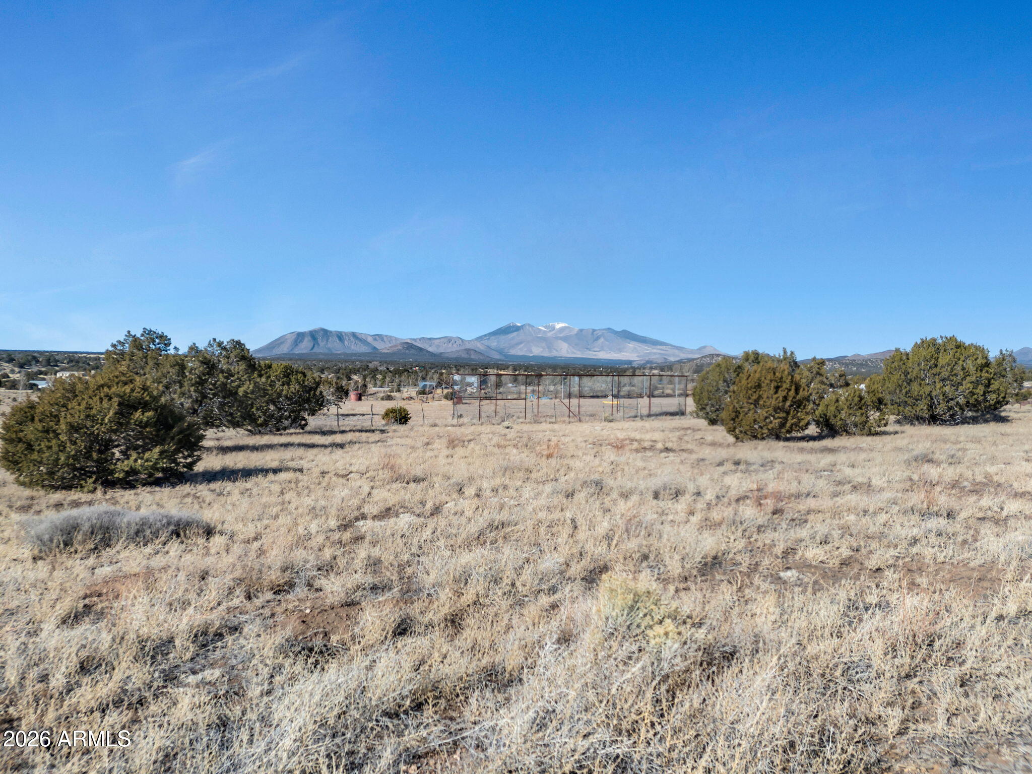 13170 Stockmens Road Flagstaff, AZ 86004 - Photo 23 of 30 a view of a dry yard with trees in the background