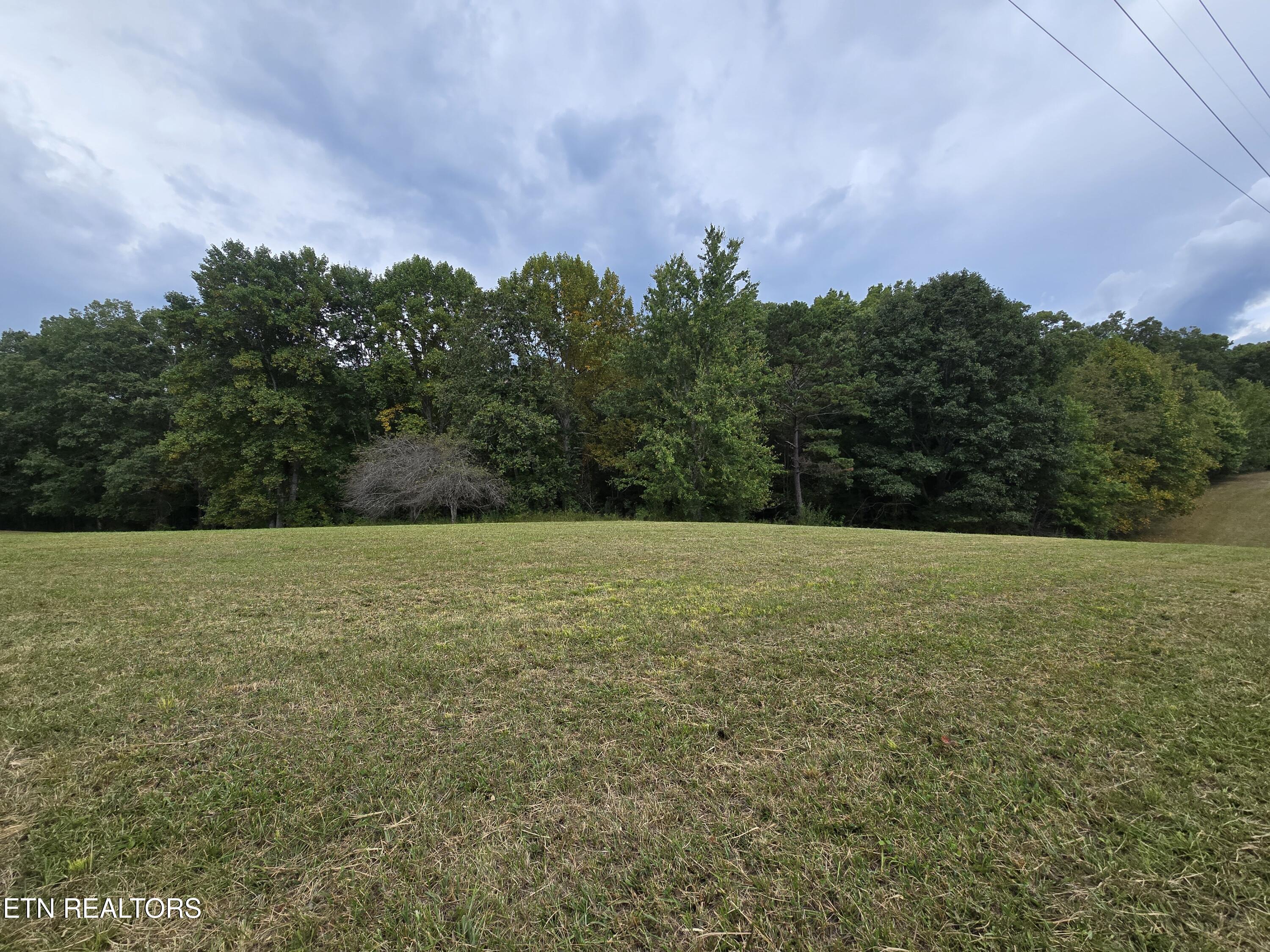 0 Eli Lane Oneida, TN 37841 - Photo 1 of 7 20250903_155106