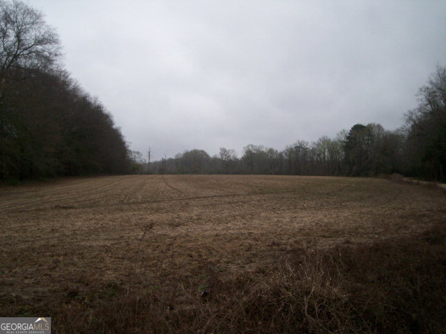 0 Sam Hall Road Baxley, GA 31513 - Photo 1 of 1 Main View