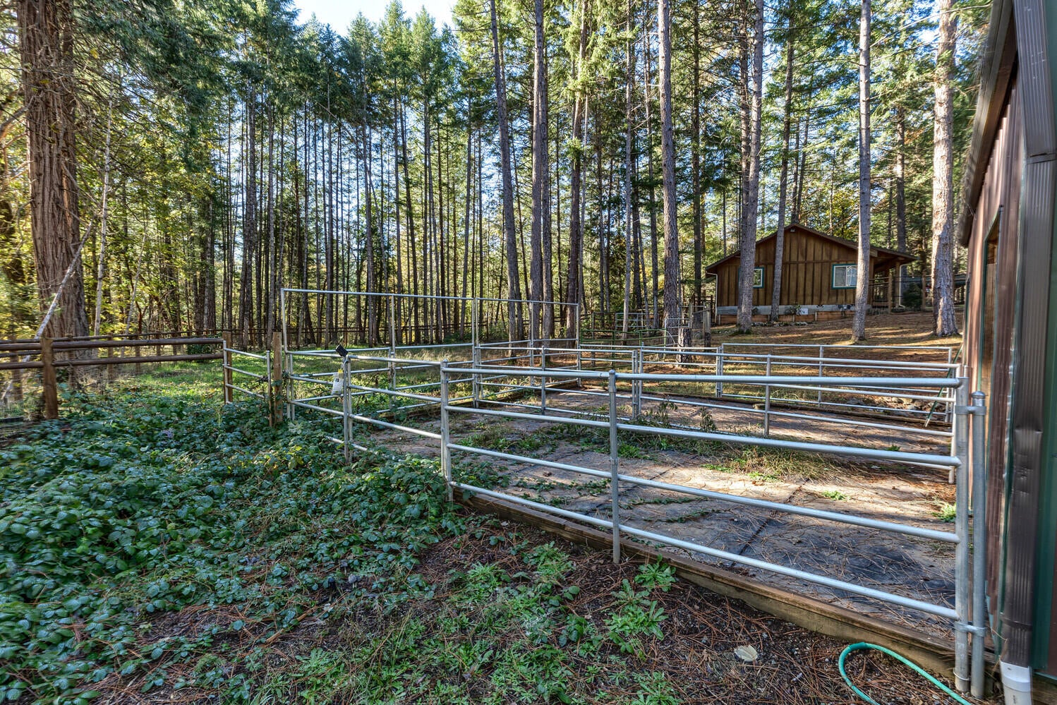 3700 Pleasant Creek Road Rogue River, OR 97537 - Photo 58 of 77 71_PC_71_mls