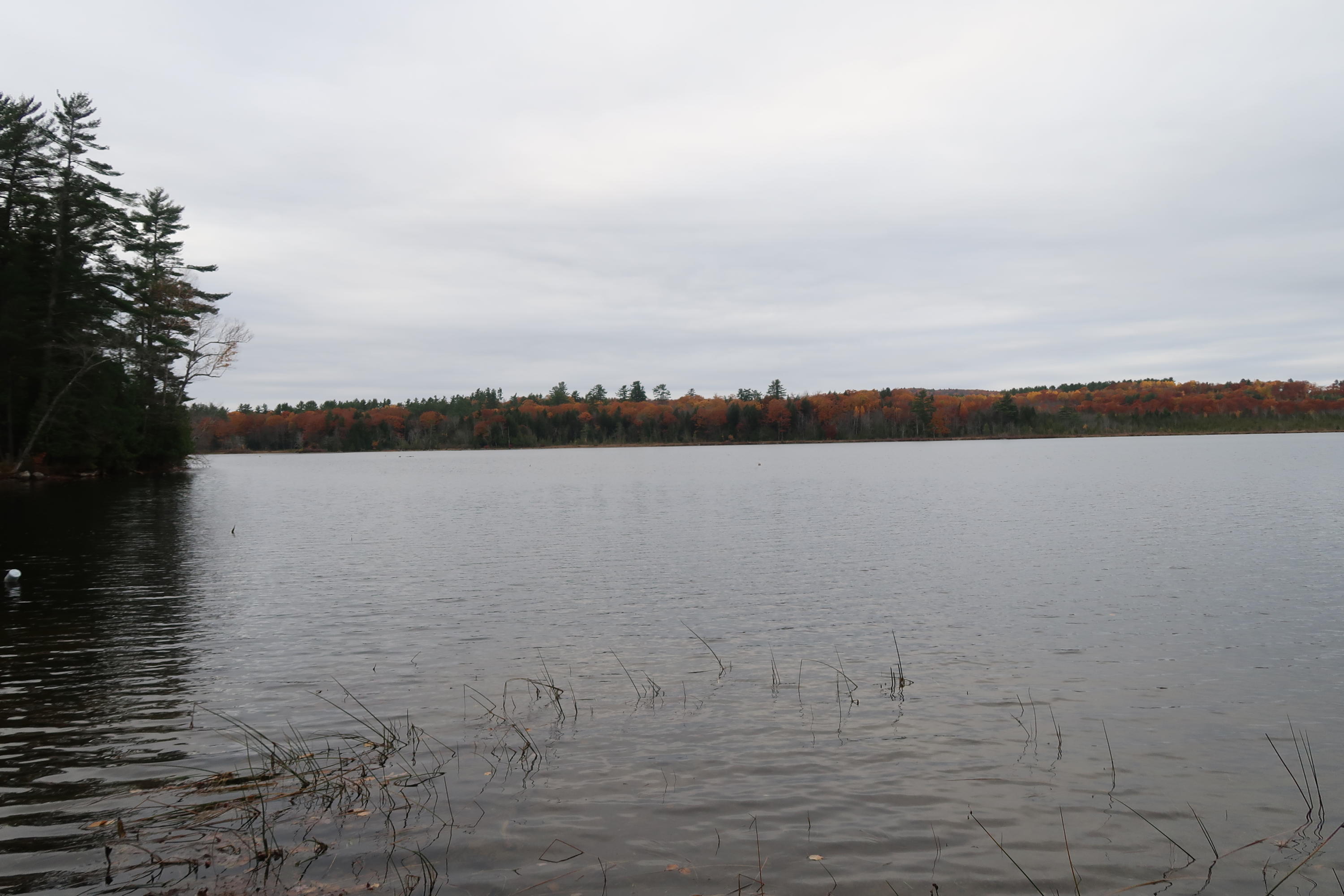 96 Woodland Road Winthrop, ME 04364 - Photo 10 of 16 IMG_0723