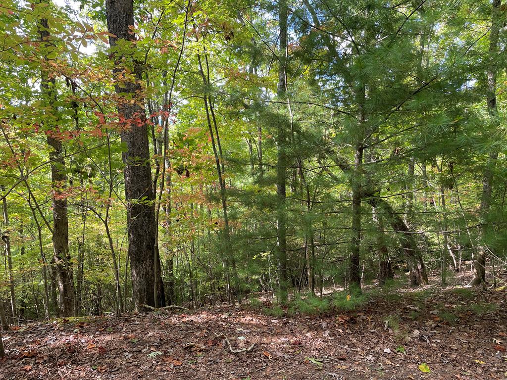 Lot 30 High Ridge Road Murphy, NC 28906 - Photo 3 of 7