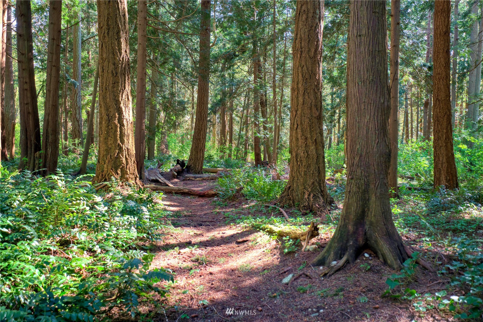 1751 Benson Road Point Roberts, WA 98281 - Photo 1 of 18 a view of outdoor space and garden
