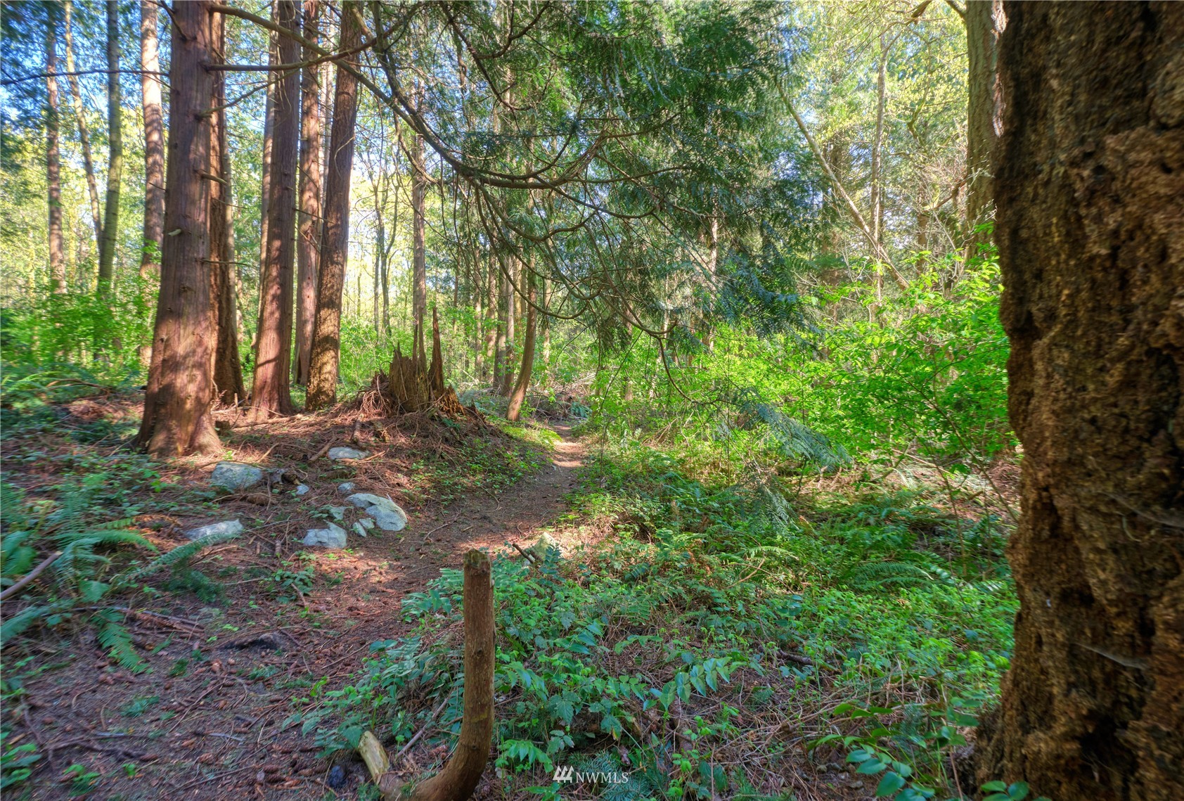 1751 Benson Road Point Roberts, WA 98281 - Photo 14 of 18 a view of backyard with green space