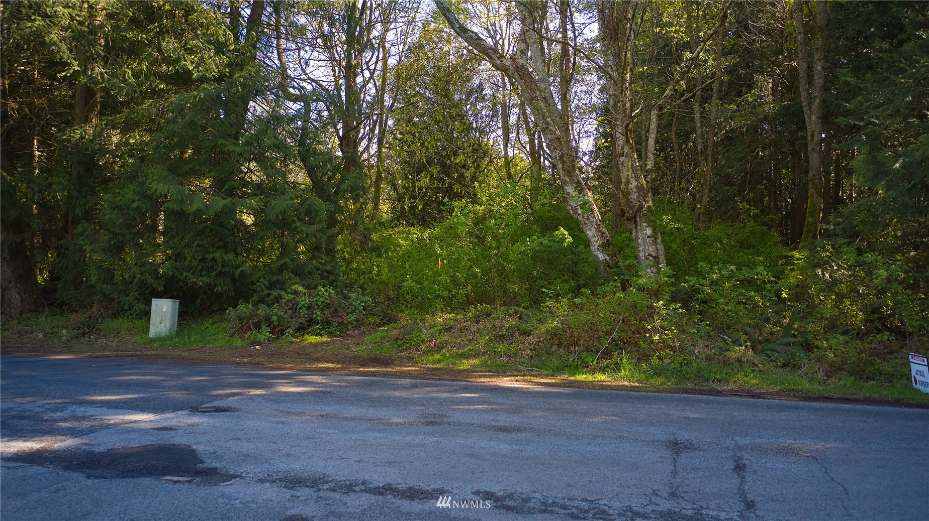 1751 Benson Road Point Roberts, WA 98281 - Photo 4 of 18 a view of a yard