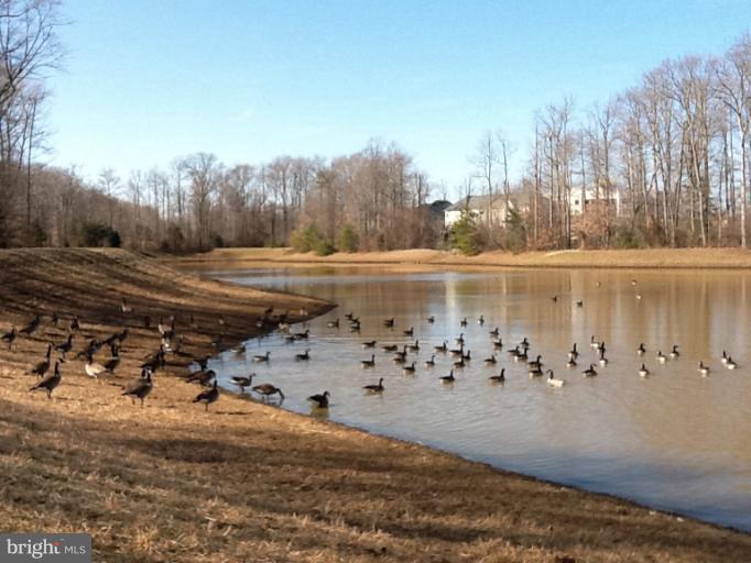 3751 Glebe Meadow Way Edgewater, MD 21037 - Photo 29 of 30 Nearby Lake, Pond, Walking/Jagging Trails