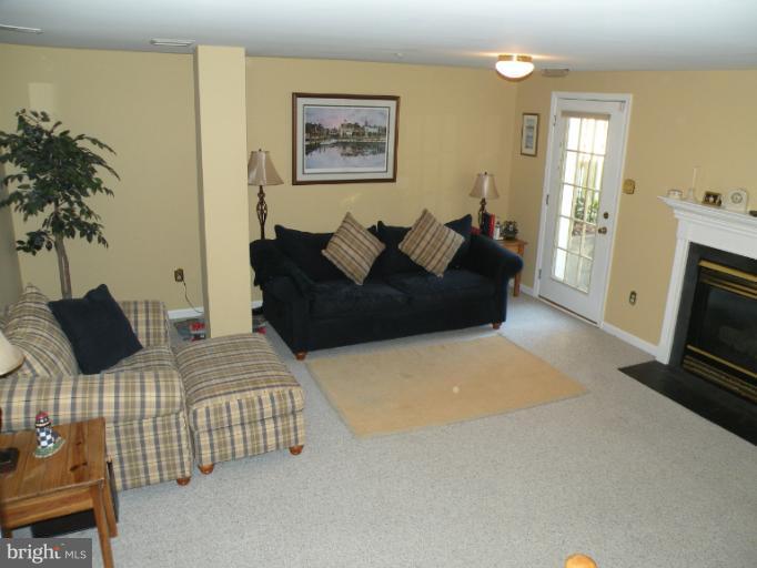 3751 Glebe Meadow Way Edgewater, MD 21037 - Photo 7 of 30 Lower Level-Basement: Gas Fireplace, Walkout