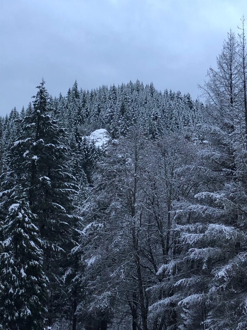 52 Dodes Creek Road Trail, OR 97541 - Photo 98 of 110 Winter Wonderland