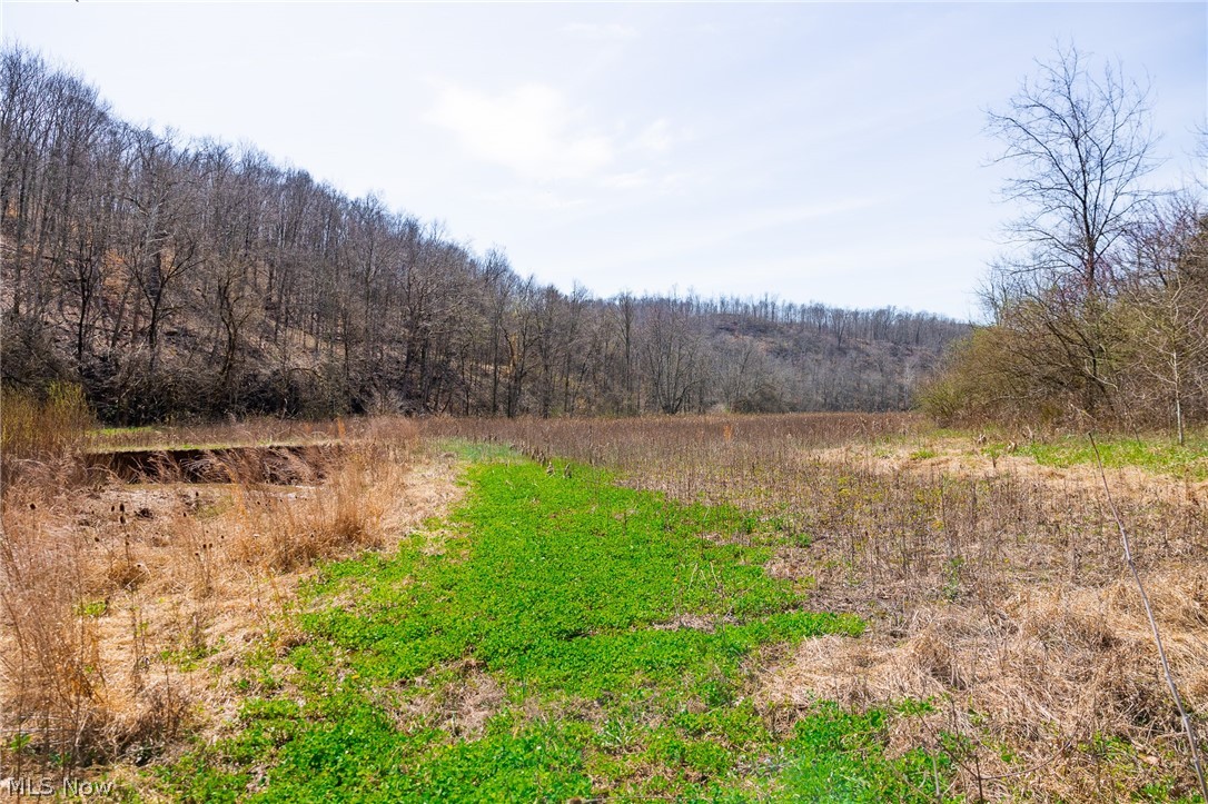 East Branch Road Lowell, OH 45744 - Photo 3 of 29