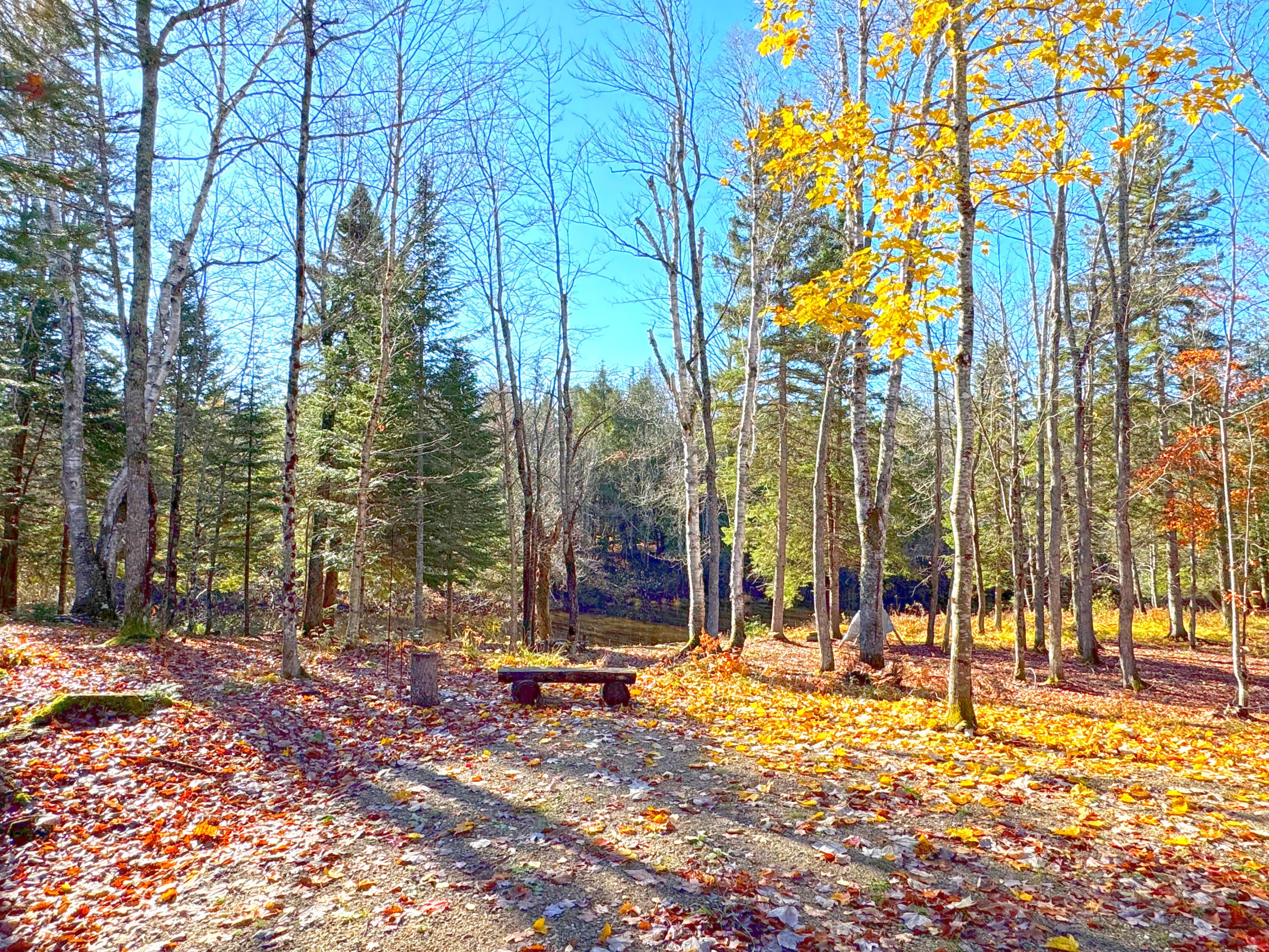 4800 South North Hulbert Road Eckerman, MI 49728 - Photo 9 of 40 Gallery Image 9