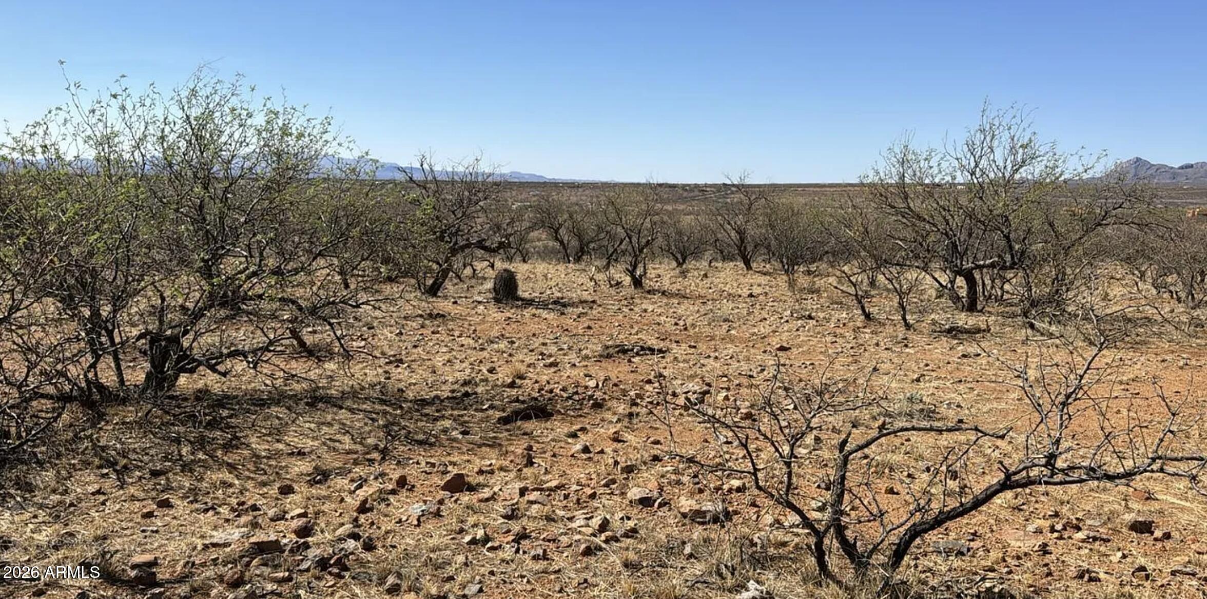 1828 Almidon Court Rio Rico, AZ 85648 - Photo 6 of 10 1828 ALMIDON CT