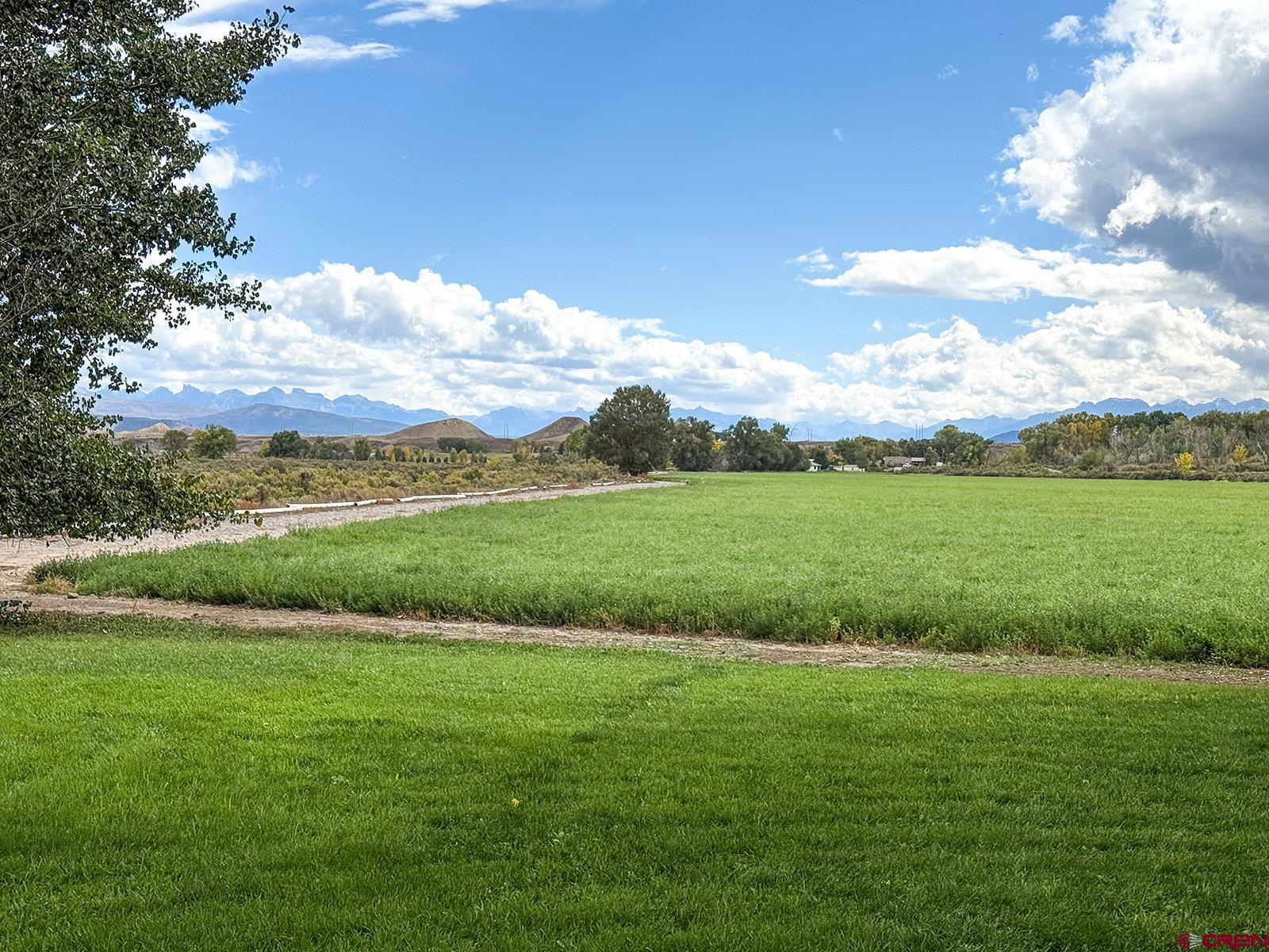 66356 Otter Road Montrose, CO 81403 - Photo 37 of 45 a view of a green field with clear sky