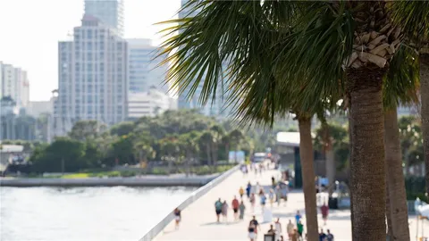 a view of a back yard