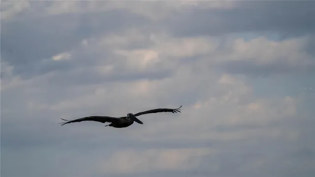 $250,000 | 4650 Emerson Avenue South, St. Petersburg, FL 33711