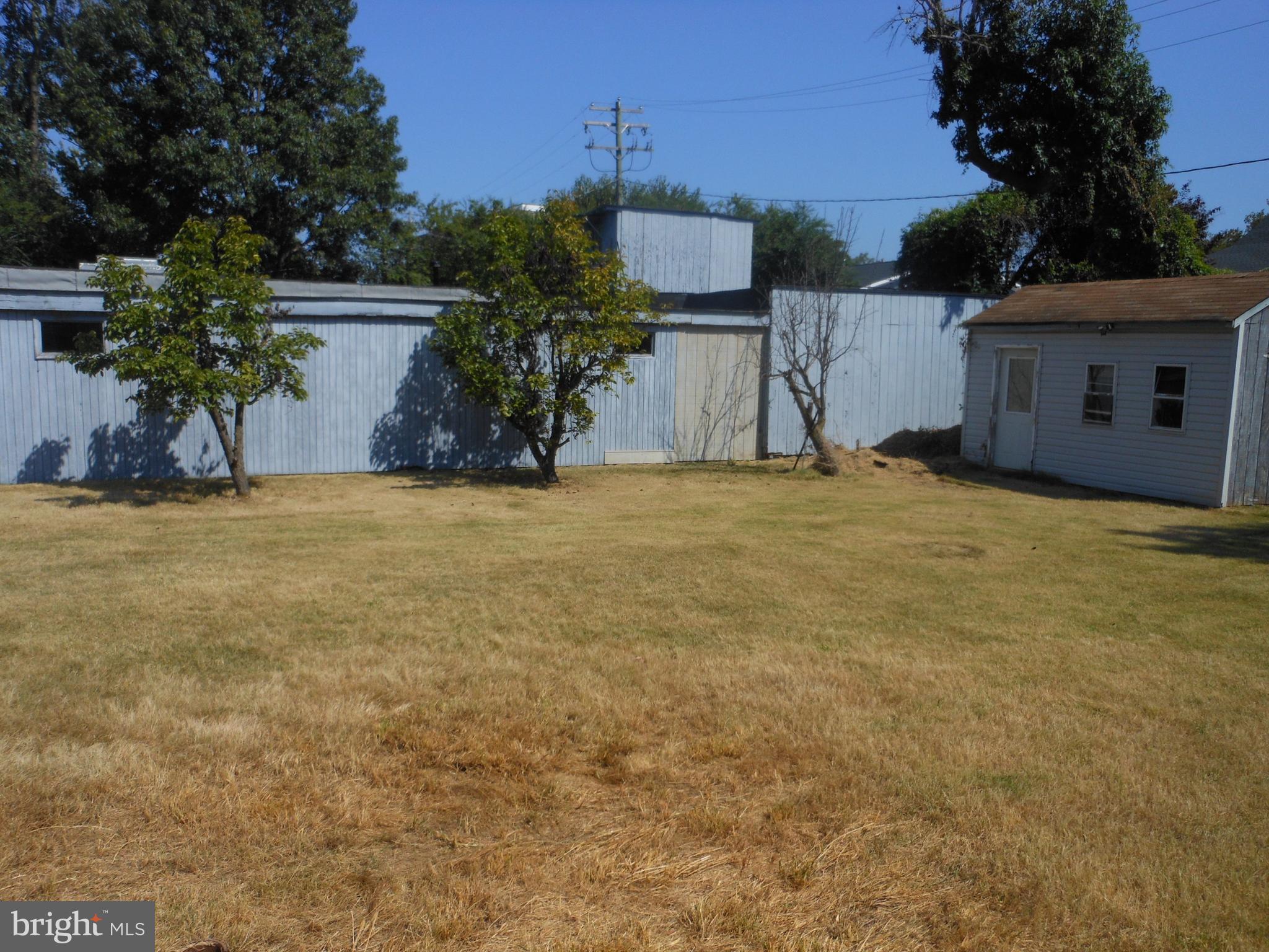 40 Oak Court Annapolis, MD 21401 - Photo 6 of 15 Landscaped yard