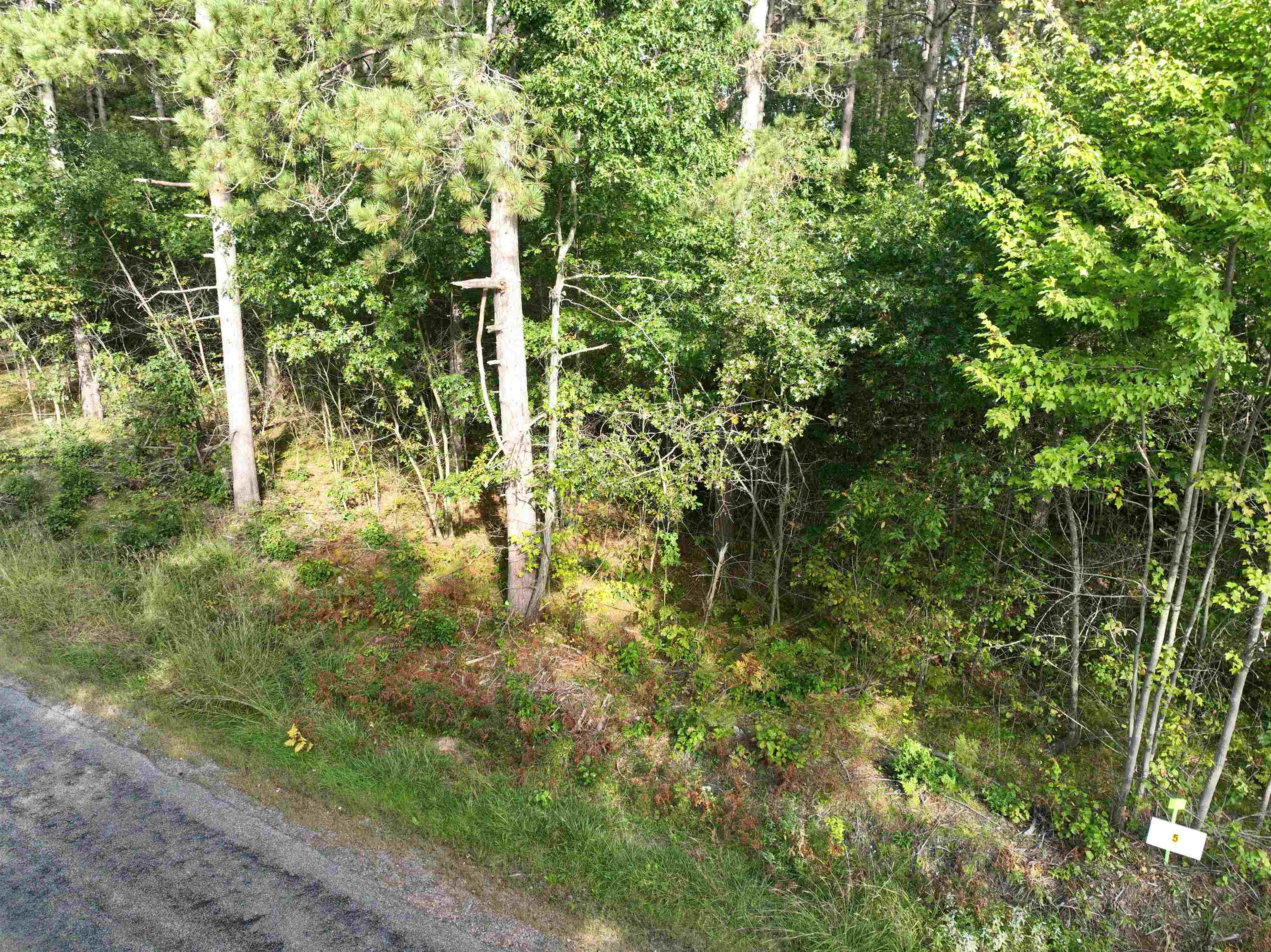 Lot 5 Scout Road Mosinee, WI 54455 - Photo 8 of 9 Gallery Image 8