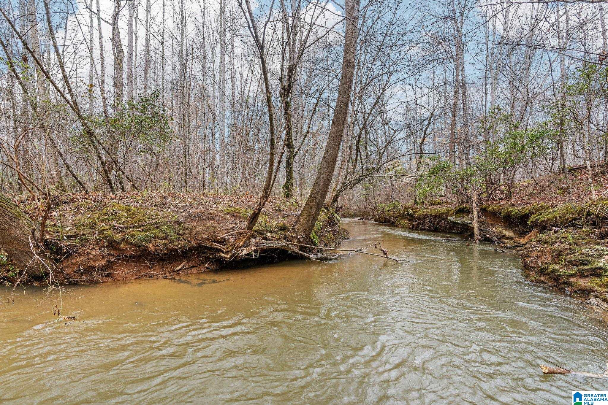 0 Highway 49 Lineville, AL 36266 - Photo 13 of 18