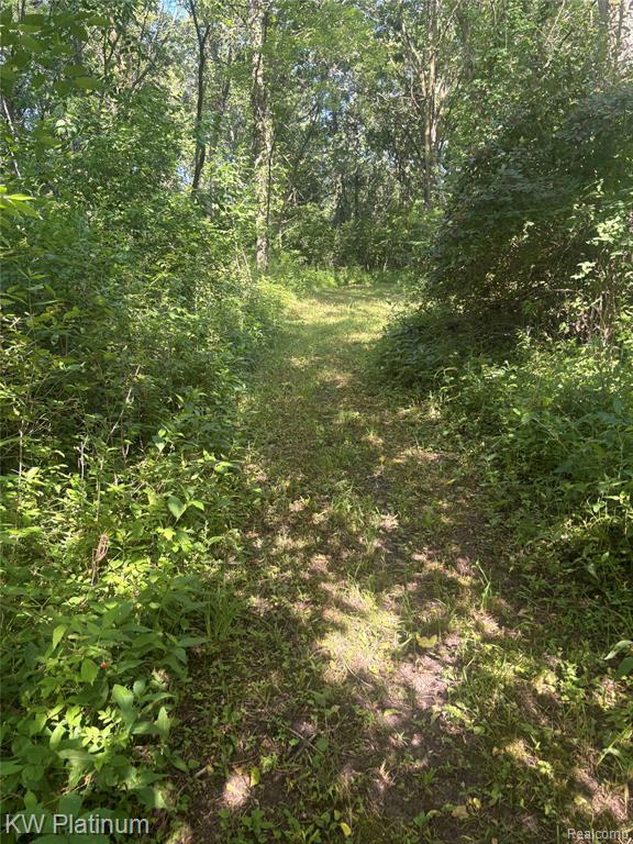 7280 North Road Fort Gratiot, MI 48059 - Photo 33 of 43 Gallery Image 33