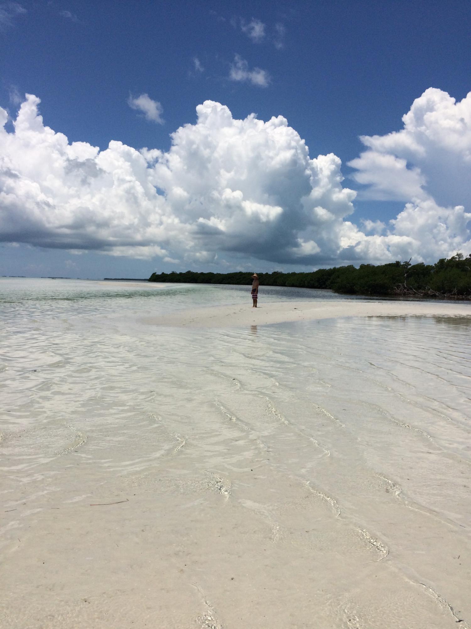 Back Country Beaches 15 minutes away